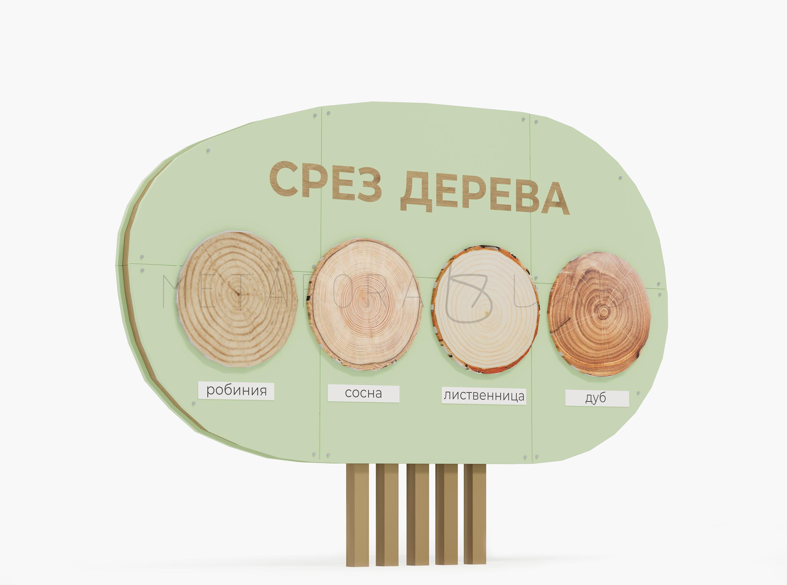 Развивающий элемент Срез дерева